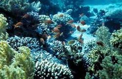 eilat eilat